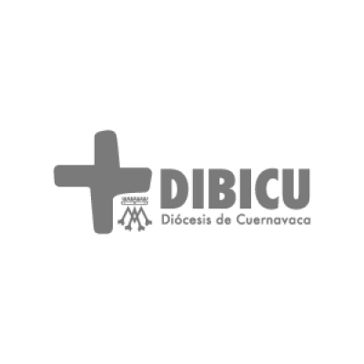 Carrusel-DIBICU-1_300px